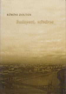 Kőrösi Zoltán - Budapest, nőváros [antikvár]