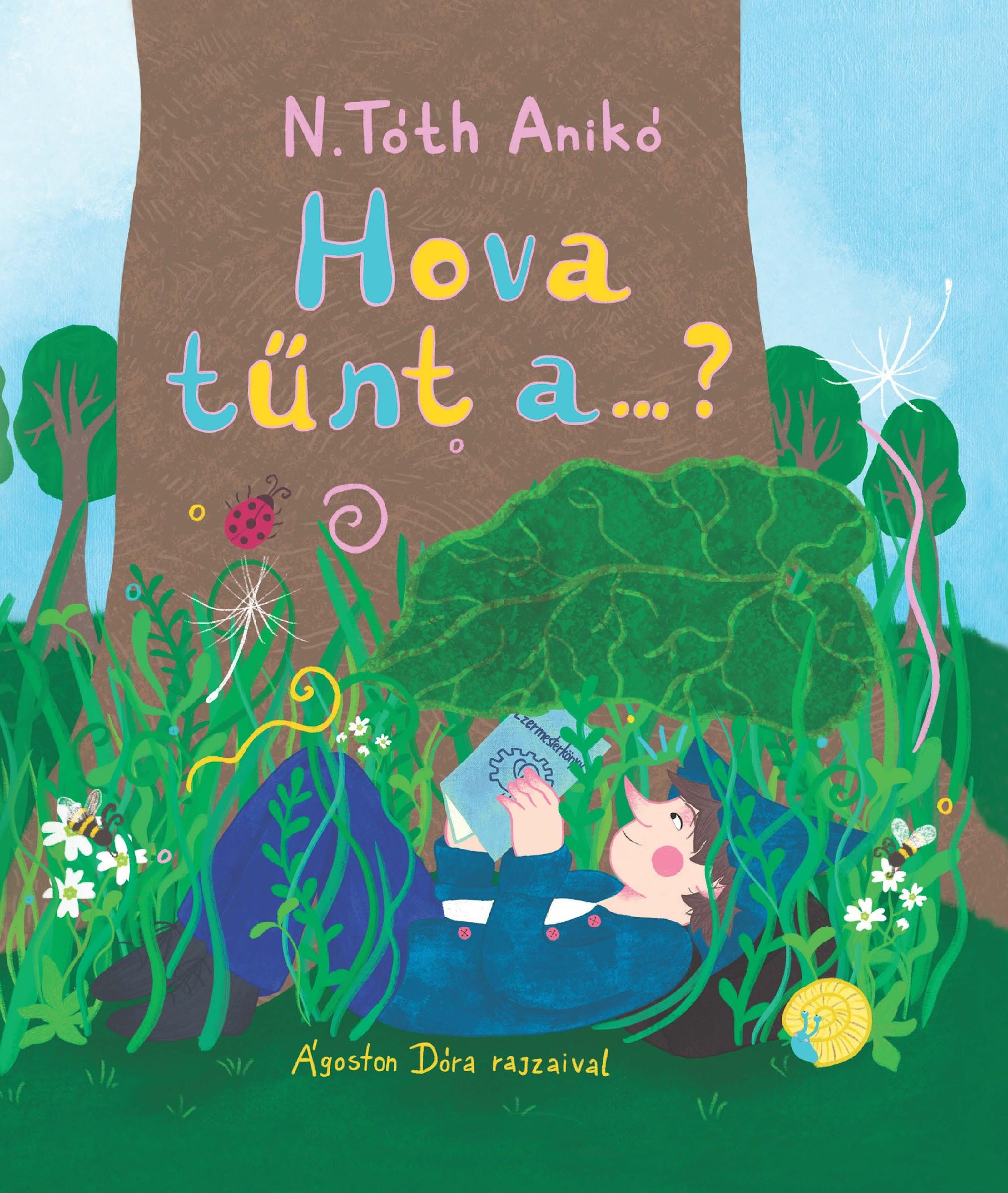 N.Tóth Anikó - Hova tűnt a...?