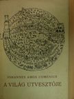 Johannes Amos Comenius - A világ útvesztője [antikvár]