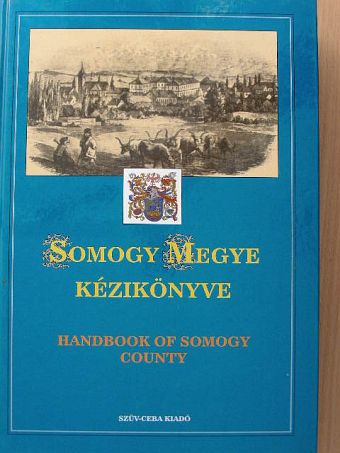 Ádámné Fábri Lili - Somogy megye kézikönyve [antikvár]