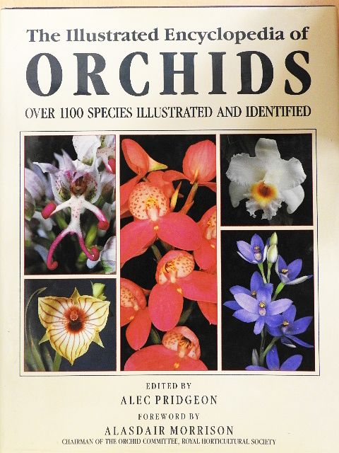 The Illustrated Encyclopedia of Orchids [antikvár]