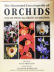 The Illustrated Encyclopedia of Orchids [antikvár]