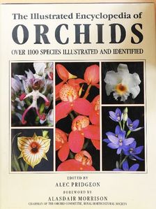 The Illustrated Encyclopedia of Orchids [antikvár]