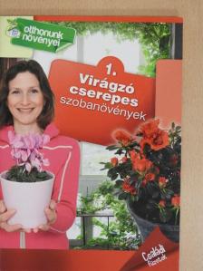 Dr. Váczi Imréné - Virágzó cserepes szobanövények [antikvár]