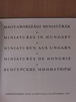 Mucsi András - Magyarországi miniatúrák [antikvár]