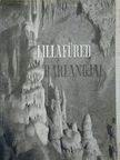 Dr. Kessler Hubert - Lillafüred barlangjai [antikvár]
