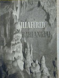 Dr. Kessler Hubert - Lillafüred barlangjai [antikvár]