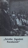Heltai Nándor - Szívébe fogadott Kecskemét [antikvár]