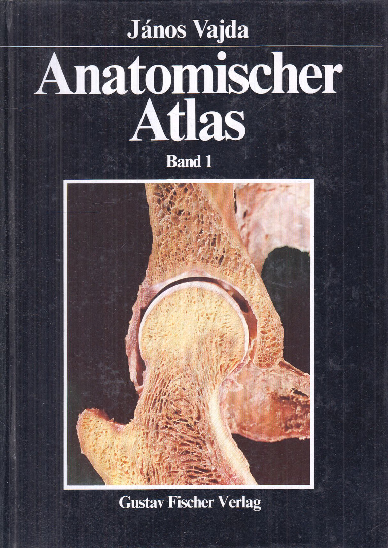 VAJDA JÁNOS - Anatomischer Atlas Band 1. [antikvár]
