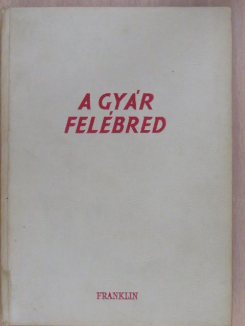 Egry Irén - A gyár felébred [antikvár]