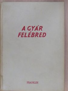 Egry Irén - A gyár felébred [antikvár]