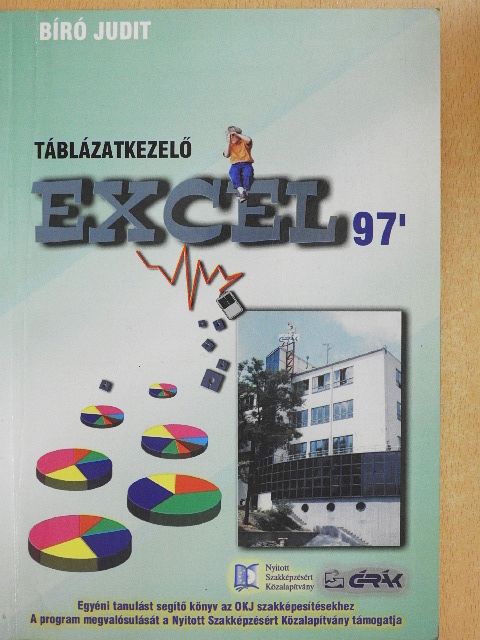 Bíró Judit - Táblázatkezelő Excel 97' [antikvár]