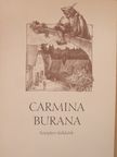 Carmina Burana [antikvár]