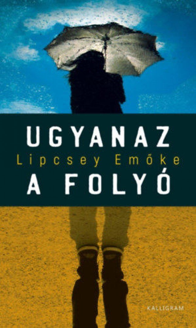 Lipcsey Emőke - Ugyanaz a folyó [antikvár]