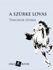 Theodor Storm - A szürke lovas [eKönyv: epub, mobi]