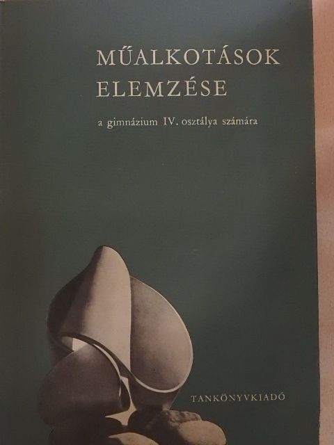 Dr. Maksay László - Műalkotások elemzése [antikvár]