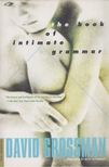 David Grossman - The Book of Intimate Grammar [antikvár]