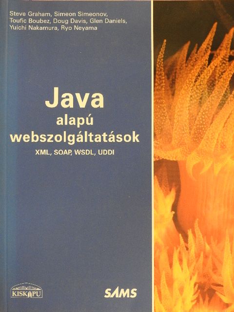 Doug Davis - Java alapú webszolgáltatások [antikvár]