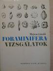 Majzon László - Foraminifera-vizsgálatok [antikvár]
