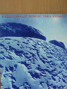 Gink Károly - A kékszakállú herceg vára nyomán [antikvár]