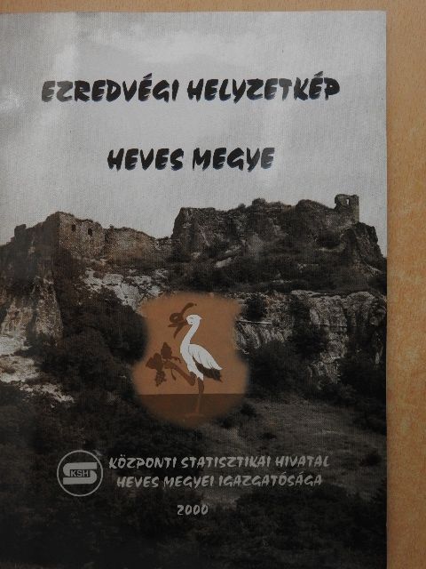 Brinszkyné Hidas Zsuzsanna - Ezredvégi helyzetkép - Heves megye [antikvár]