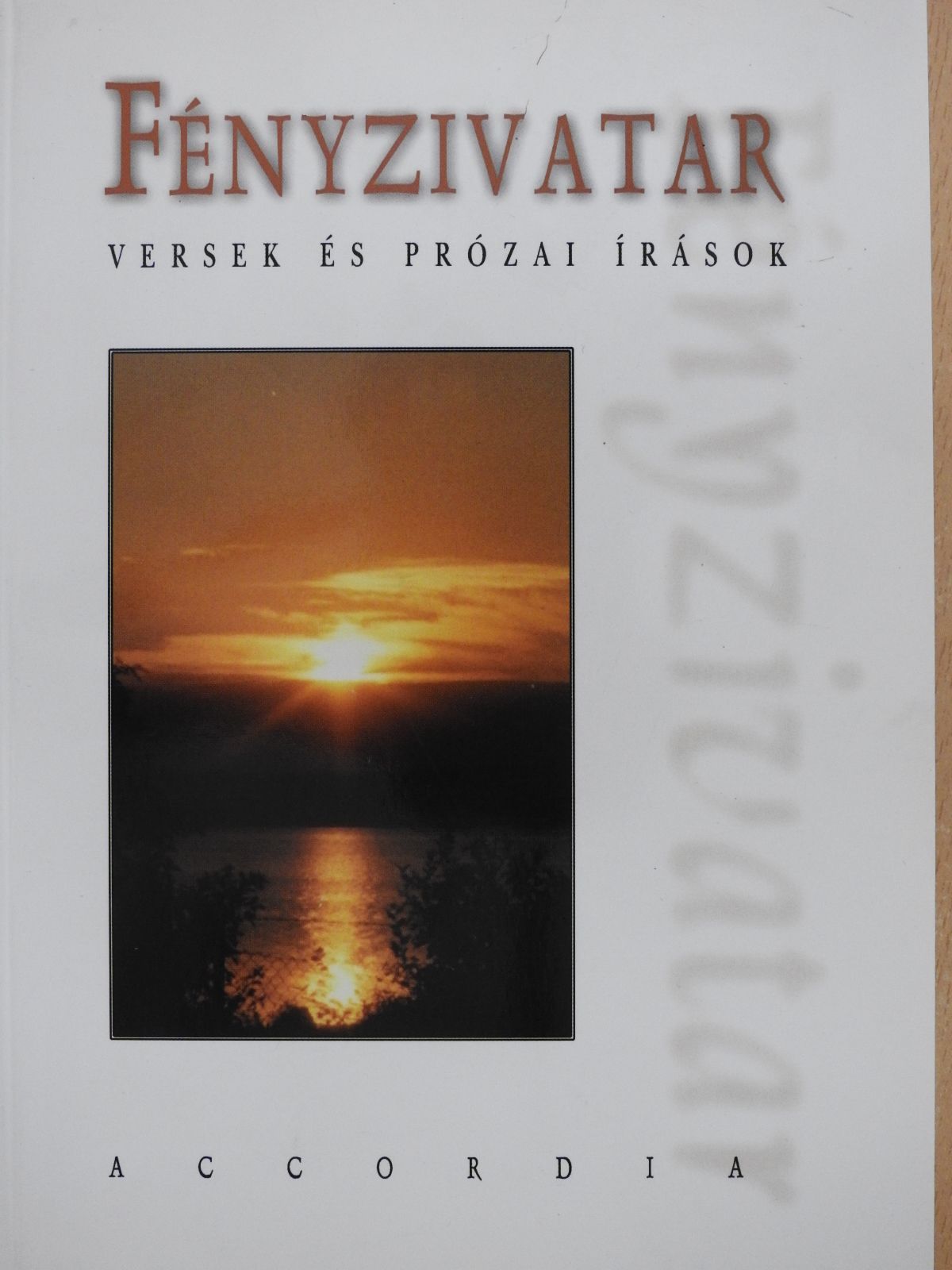Hegedűs Lajos - Fényzivatar (dedikált példány) [antikvár]