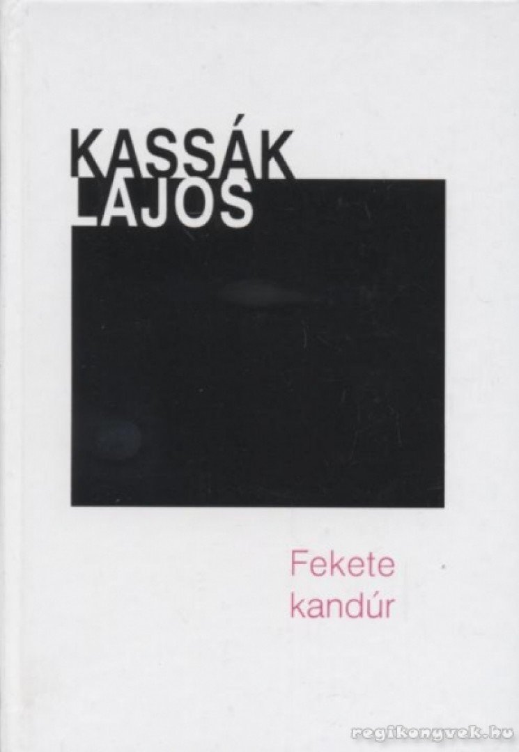 Kassák Lajos - Fekete kandúr [antikvár]