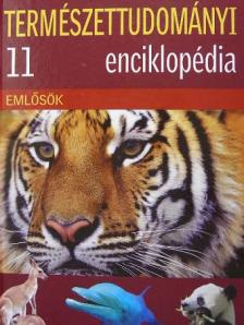 Természettudományi Enciklopédia 11. [antikvár]