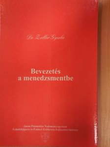 Dr. Zeller Gyula - Bevezetés a menedzsmentbe [antikvár]