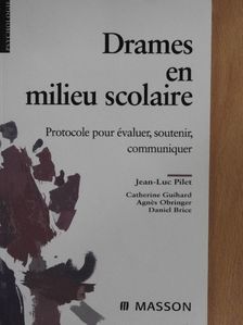 Agnés Obringer - Drames en milieu scolaire [antikvár]