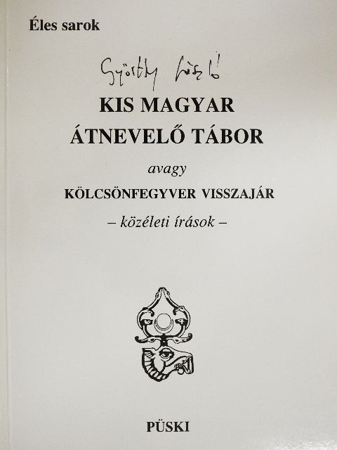 Győrffy László - Kis magyar átnevelő tábor avagy kölcsönfegyver visszajár [antikvár]