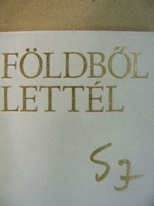 Somogyi József - Földből lettél (minikönyv) [antikvár]