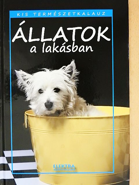 Állatok a lakásban [antikvár]