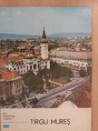 Onisie Hossu - Tirgu Mures [antikvár]