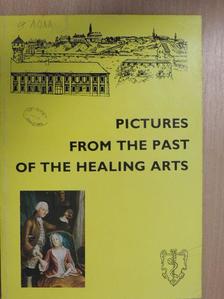 Anikó V. Faludy - Pictures from the past of the healing arts [antikvár]