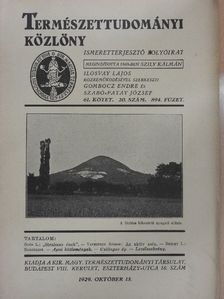 Bricht L. - Természettudományi Közlöny 1929. október 15. [antikvár]