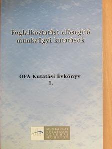 Balogh Gábor - Foglalkoztatást elősegítő munkaügyi kutatások [antikvár]