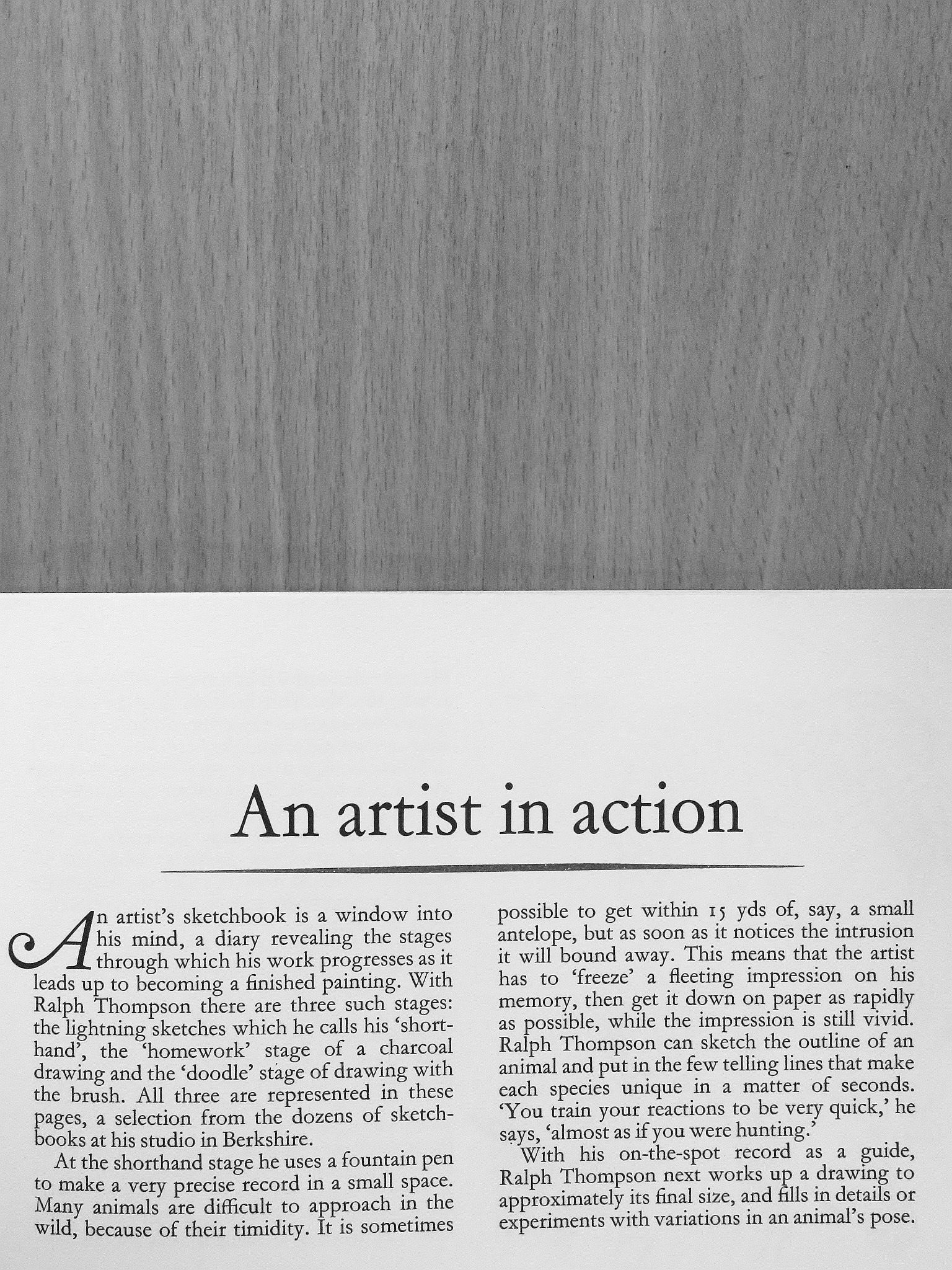 Animals through the eyes of an artist [antikvár]