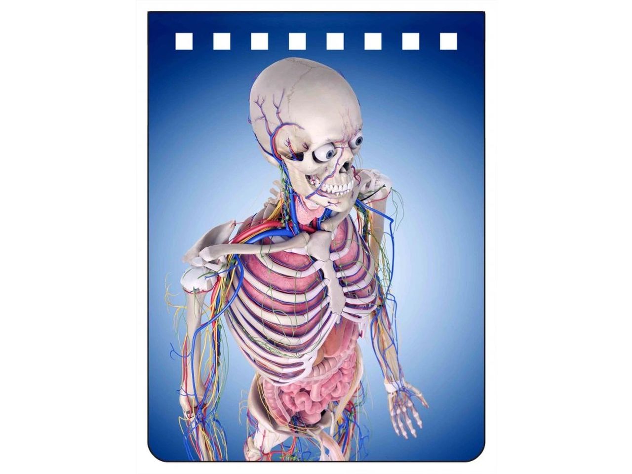 NA709 - The Body Notebook A7