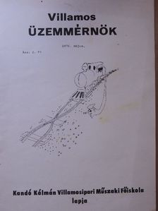 Villamos Üzemmérnök 1976. május [antikvár]
