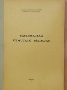 Drimba Péter - Matematika utmutató példatár [antikvár]