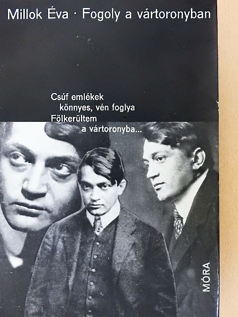Millok Éva - Fogoly a Vártoronyban [antikvár]