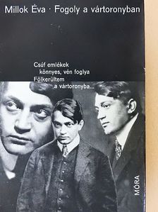 Millok Éva - Fogoly a Vártoronyban [antikvár]