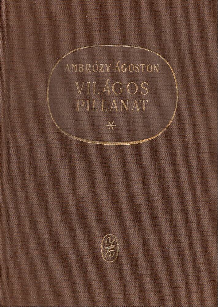 AMBRÓZY ÁGOSTON - Világos pillanat [antikvár]