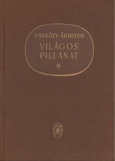 AMBRÓZY ÁGOSTON - Világos pillanat [antikvár]