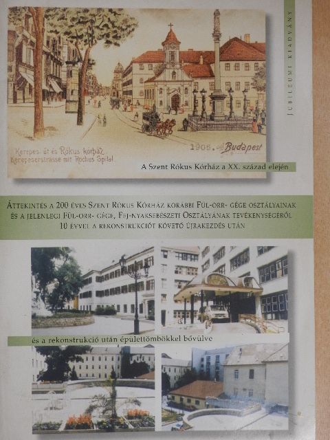 Dr. Boronkai Gusztáv - Áttekintés a 200 éves Szent Rókus Kórház korábbi Fül-orr-gége Osztályainak és a jelenlegi Fül-orr-gége, Fej-nyaksebészeti Osztályának tevékenységéről 10 évvel a rekonstrukciót követő újrakezdés után [antikvár]