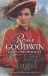 Rosie Goodwin - The Little Angel [antikvár]
