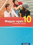 FRÁTER ADRIENNE - Magyar nyelv 10. a középiskolák számára [antikvár]