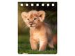 NA712 - Lion Prince Notebook A7