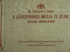 A székesfőváros multja és jelene [antikvár]
